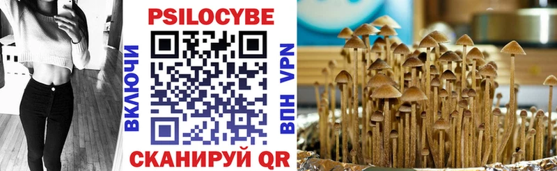 Псилоцибиновые грибы мухоморы  Севск 